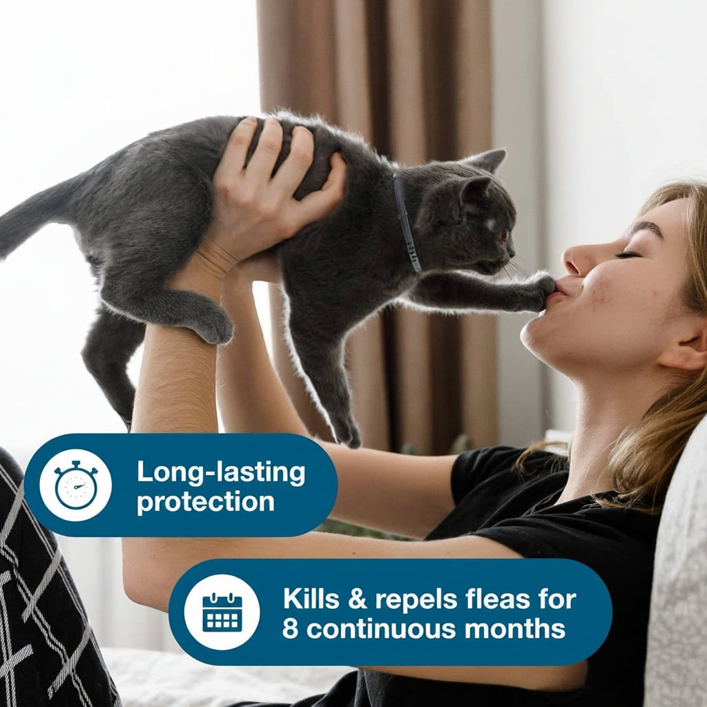 Cat Vet-Recommended Flea & Tick Treatment & Prevention Collar for Cats | 8 Months Protection