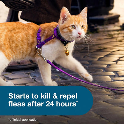 Starts to kill & repelfleas after 24 hours